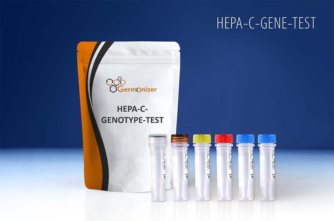 Hepatitis C Virus Genotype Detection Kit