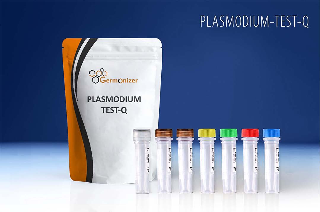 Malaria PCR diagnostic kit for Plasmodium species